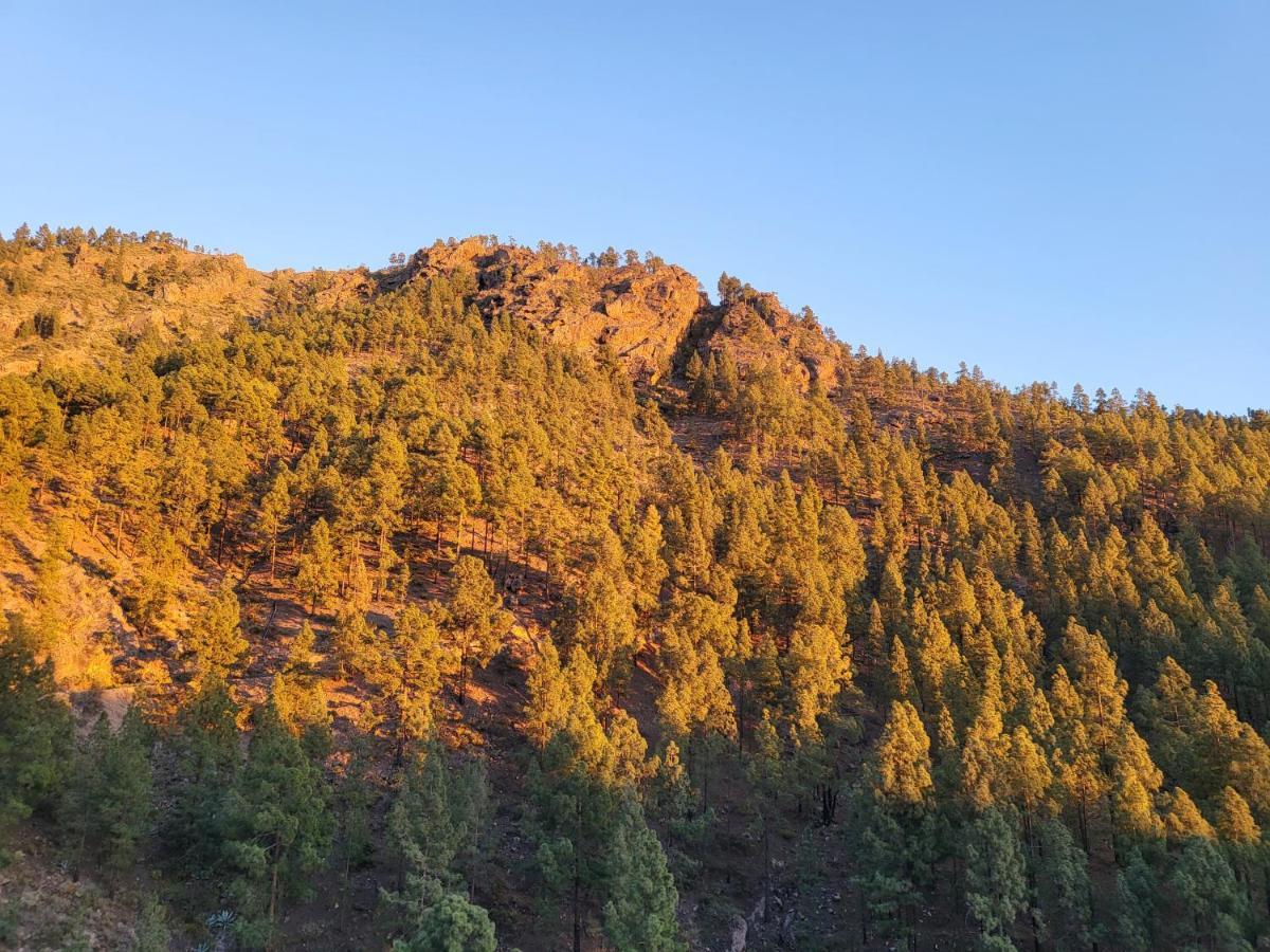 Casa Rural Los Pinares El Juncal De Tejeda 외부 사진