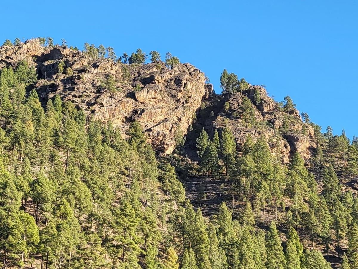 Casa Rural Los Pinares El Juncal De Tejeda 외부 사진