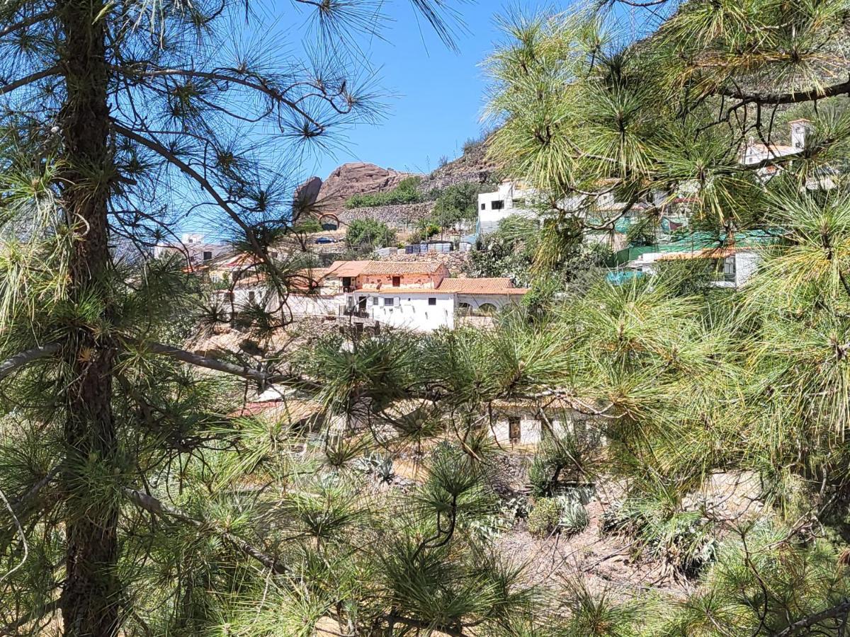 Casa Rural Los Pinares El Juncal De Tejeda 외부 사진