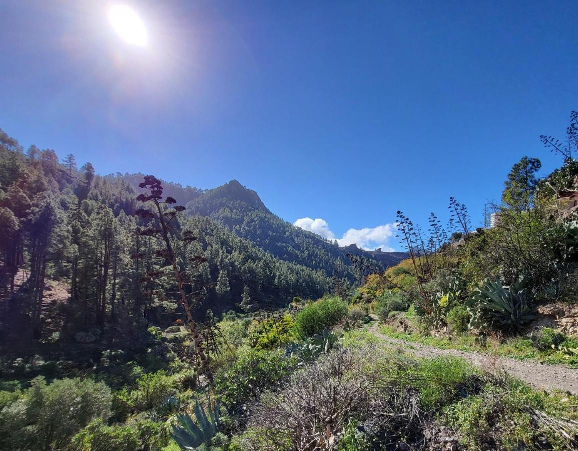 Casa Rural Los Pinares El Juncal De Tejeda 외부 사진