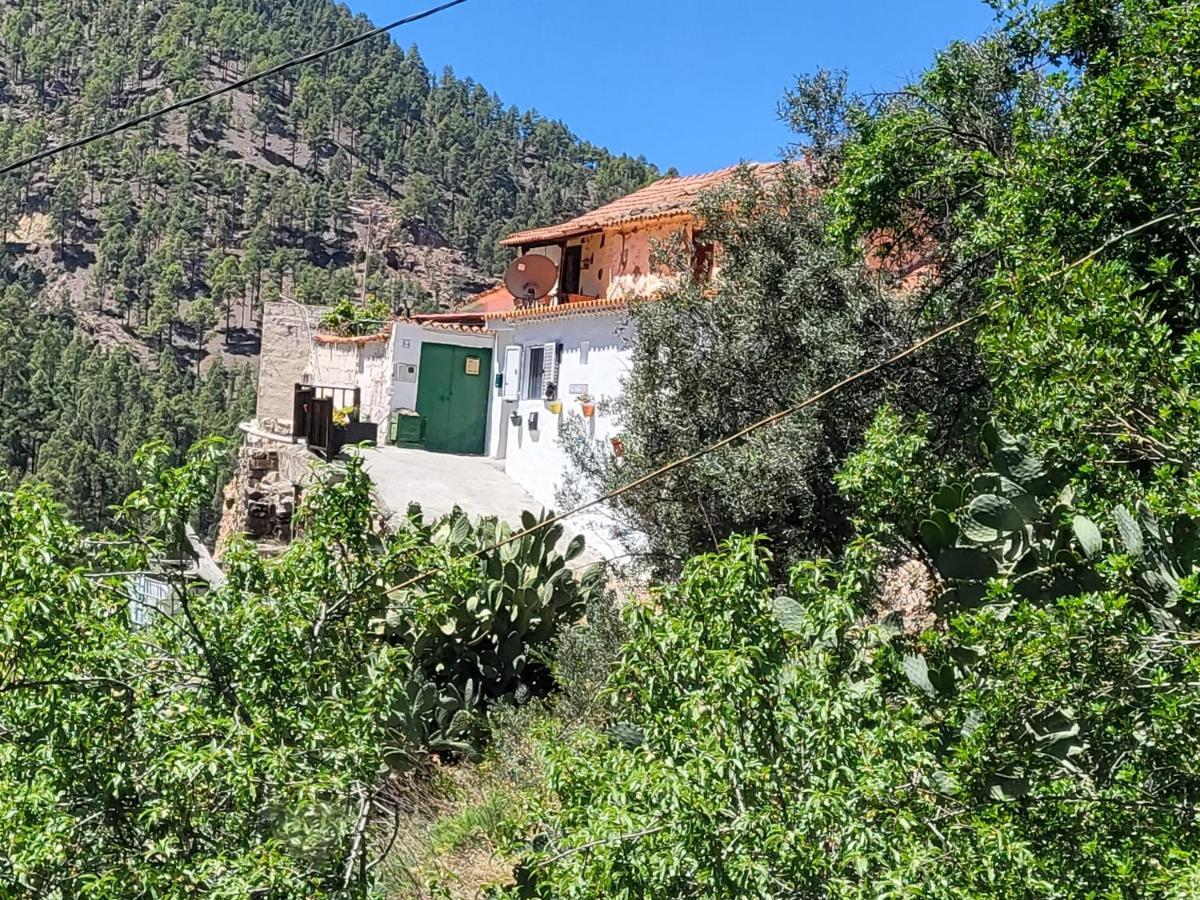 Casa Rural Los Pinares El Juncal De Tejeda 외부 사진