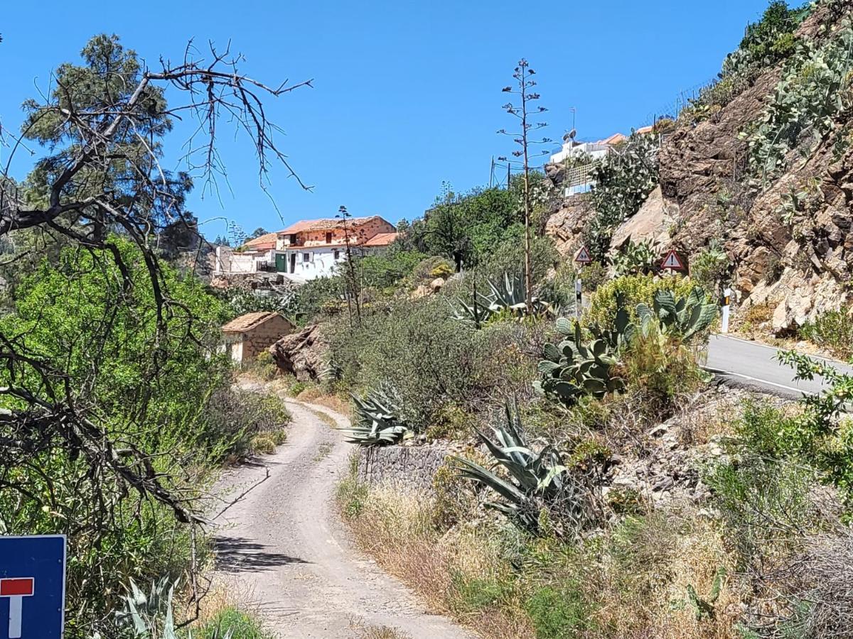 Casa Rural Los Pinares El Juncal De Tejeda 외부 사진