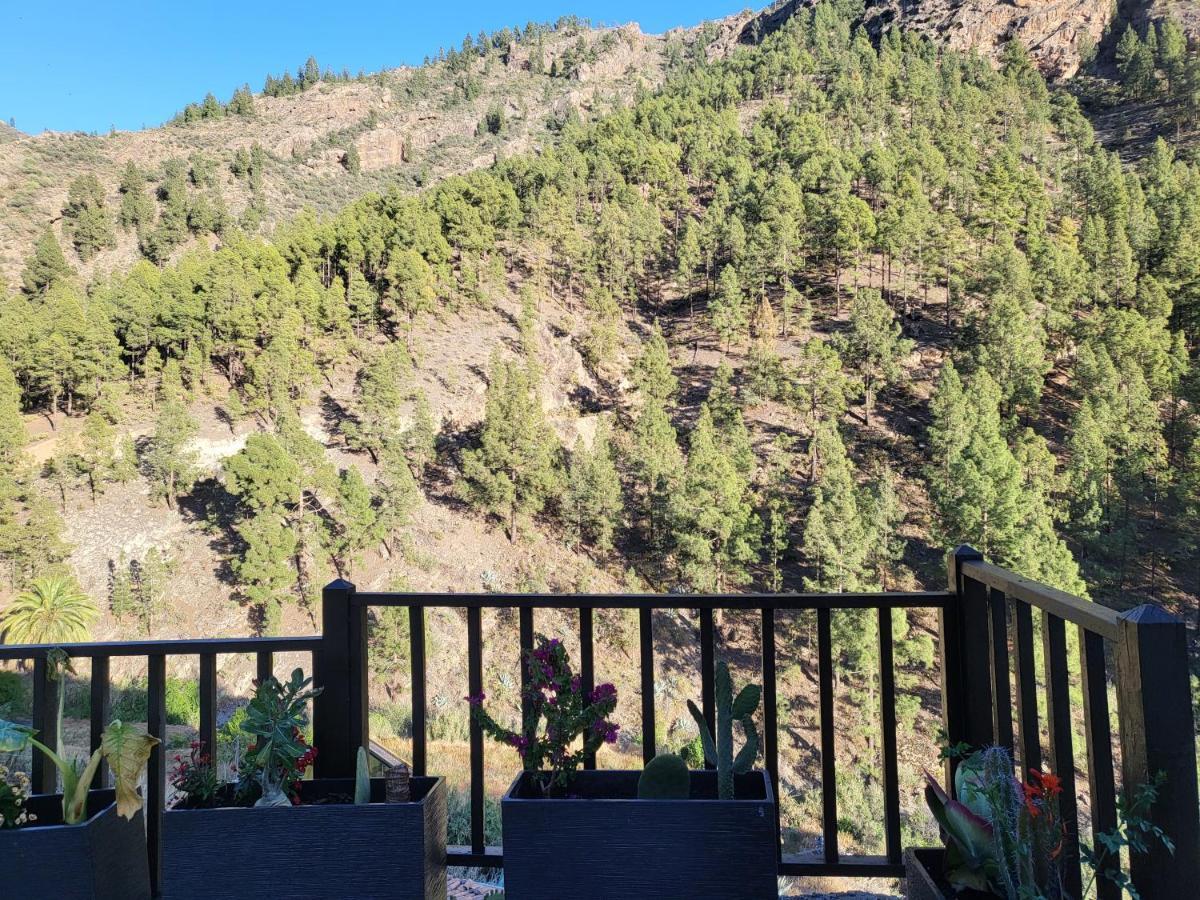 Casa Rural Los Pinares El Juncal De Tejeda 외부 사진