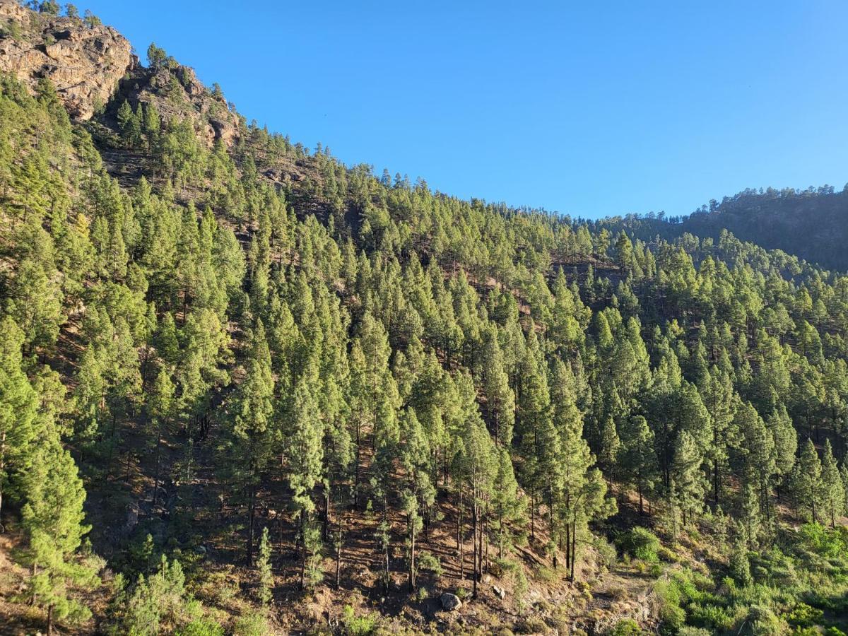 Casa Rural Los Pinares El Juncal De Tejeda 외부 사진