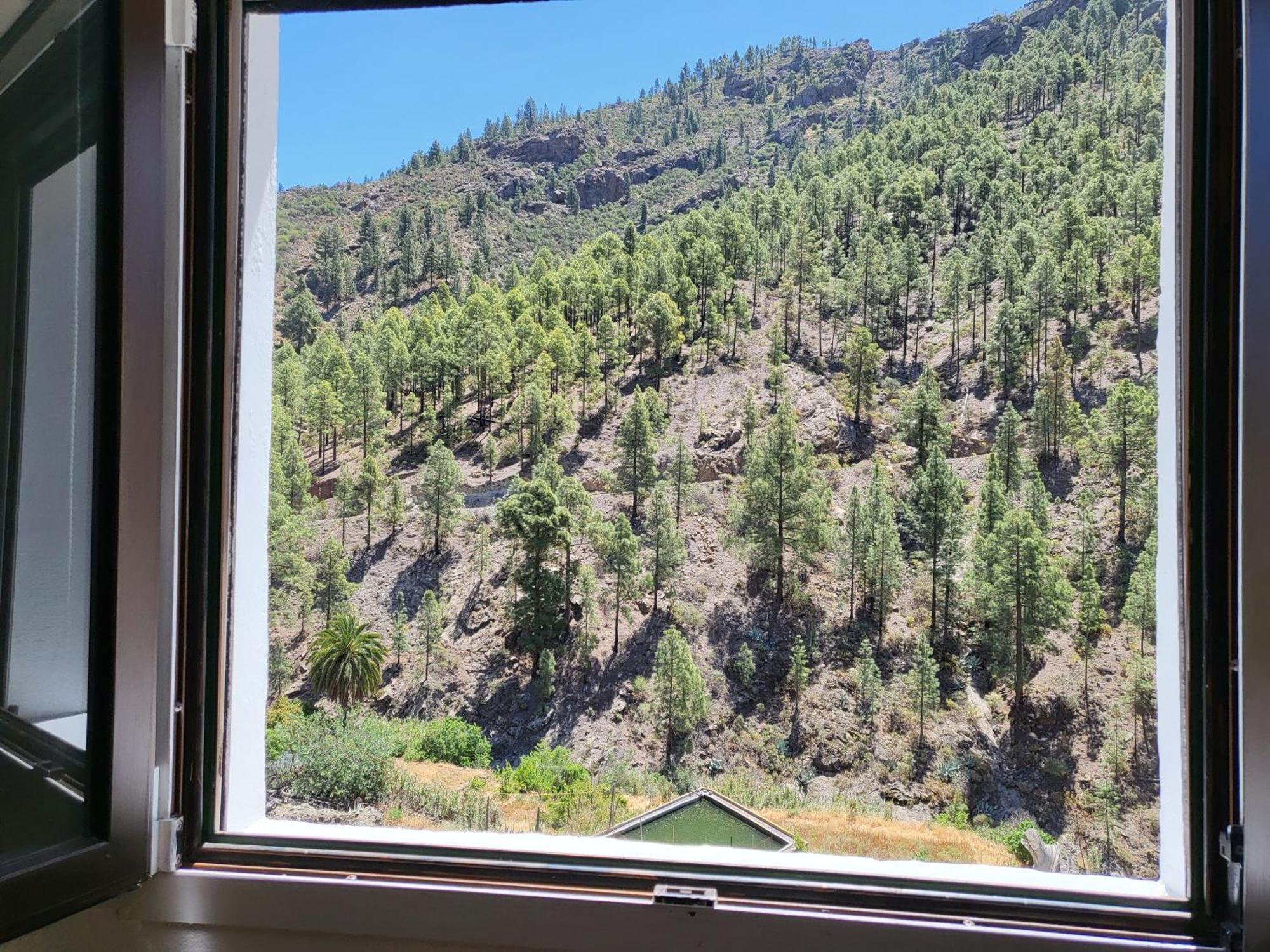 Casa Rural Los Pinares El Juncal De Tejeda 외부 사진